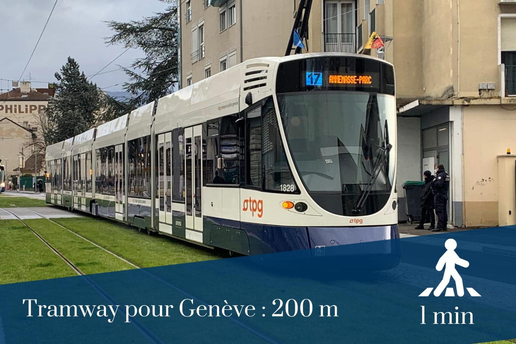 Homey Wild - Proche Gare Et Tram - Proche Centre - Balcon Prive - Parking Prive - Wifi Gratuit Annemasse Exterior photo